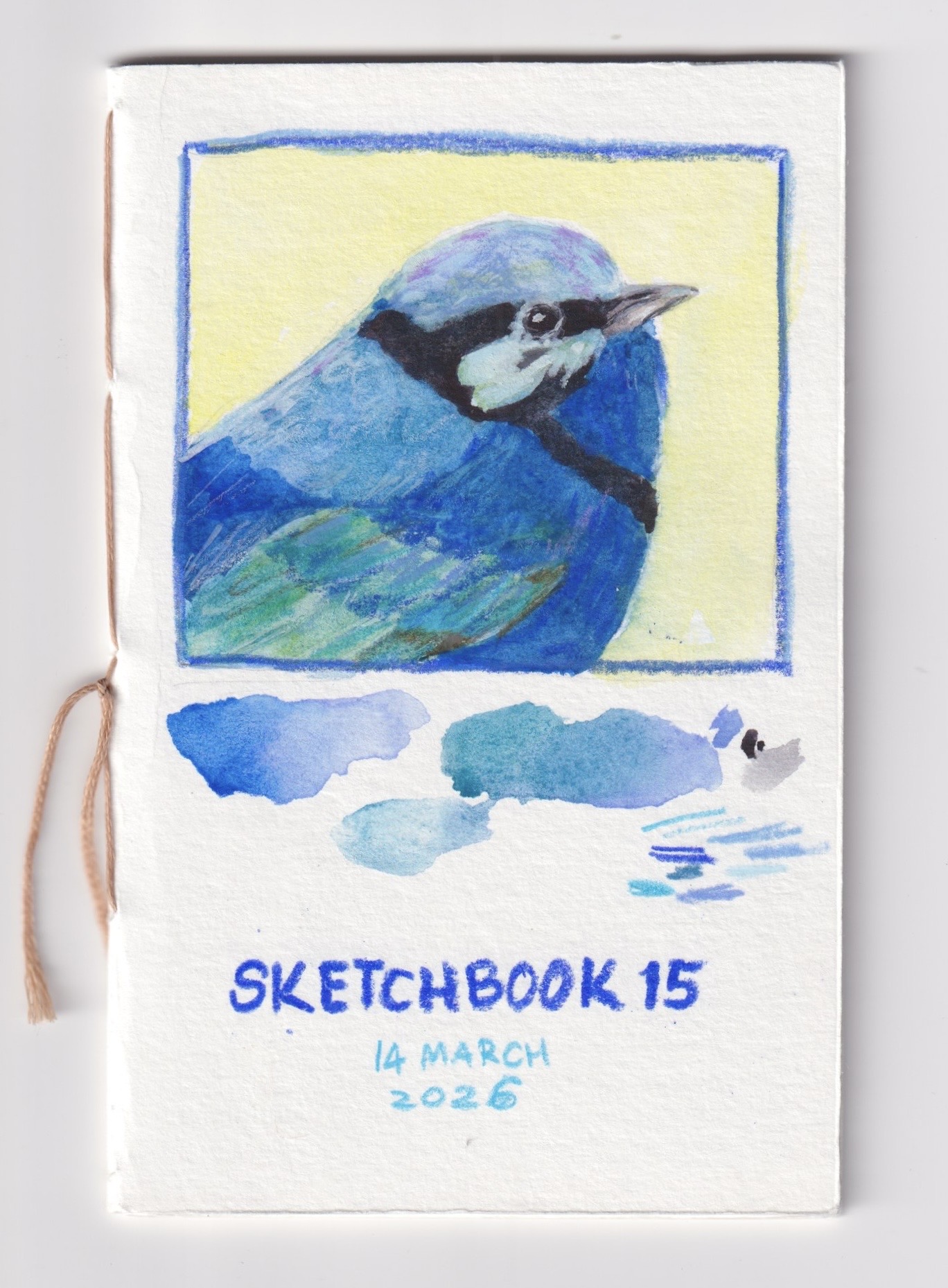 Mixed media sketch of a blue fairy wren